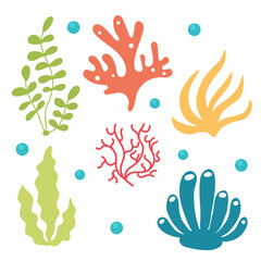 Set of bright algae and corals. Bundle Sea and ocean aqua underwater flora. Vector flat isolated illustration