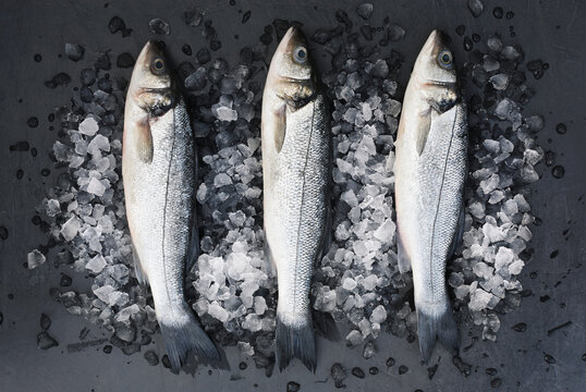 Sea bass fish from market, fresh fih on ice, seafood diet cooking background