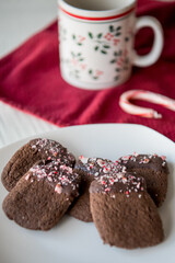 chocolate peppermint dipped cookies 