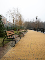 bench in the park