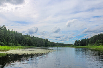 Russian nature. Russian forest, Russian river.