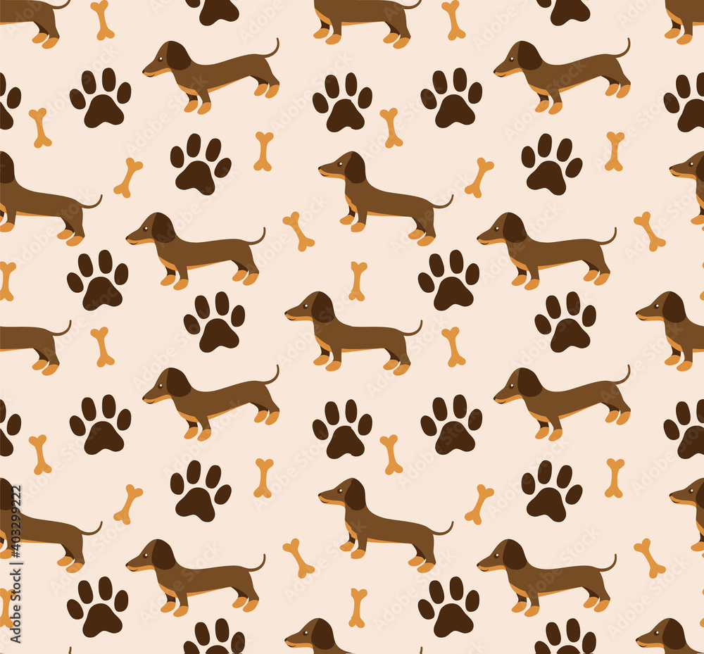 Poster vector seamless pattern in dachshund for print and web design on white background eps 10