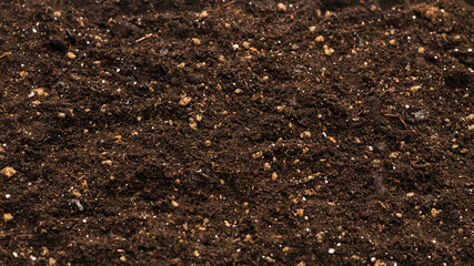 Black land for plant background.