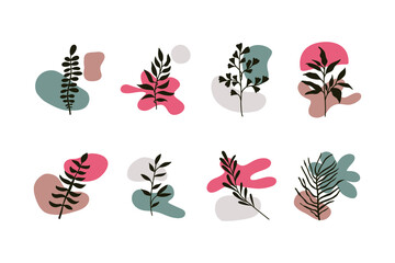 Abstract botanical set. Contemporary branch leaves with scribbles for logo, boho nature design isolated on white background. Vector art