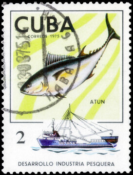 Postage stamp issued in the Cuba with the image of the Tuna, Thunnus. From the series on Development of fishing industry, circa 1975