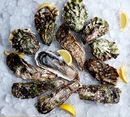 Дикие устрицы на льду с дольками лимона. 
Wild oysters on ice with lemon wedges.