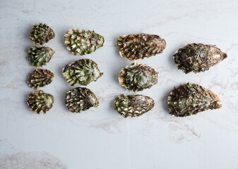 Дикие Хасанские устрицы на льду с дольками лимона. 
Wild Hasan oysters on ice with lemon wedges.