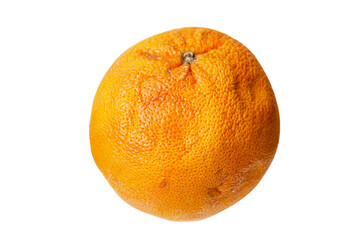Old wrinkled orange. Close-up. Isolated on white background.
