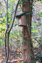 La maison des oiseaux