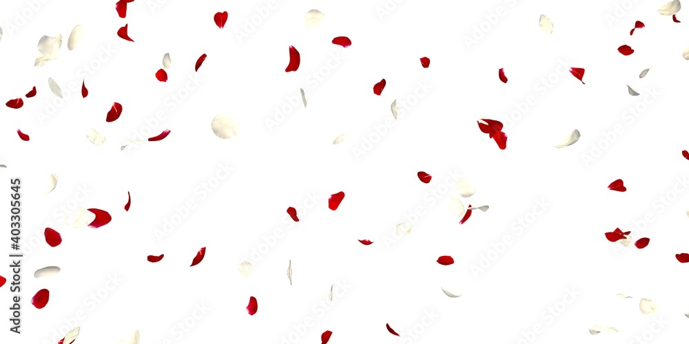 Wall mural Red and white rose petals are scattered across the screen. Valentine's Day. Postcard. Calendar