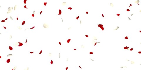 Red and white rose petals are scattered across the screen. Valentine's Day. Postcard. Calendar
