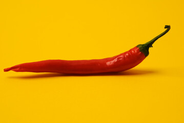 Peperoni vor gelbem Hintergrund