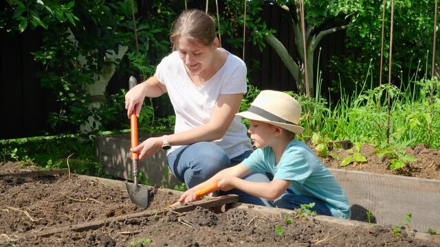 Slow motion of young mother teaching her little son working at backyard garden and planting vegetables.