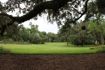 path in the park