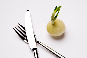Messer und Gabel aus Edelstahl