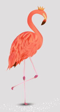 Flamingo pink on white background. Exotic Bird Flamingo. Realistic vector illustration. © YustynaOlha