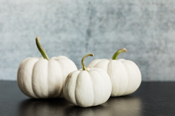 White Pumpkin Thanksgiving Decor, Elegant Fall Decor, White Pumpkin Decor
