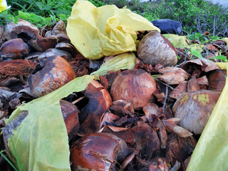 autumn leaves on the ground with plastic