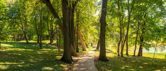 Summer sunny landscape with stone tile road passing between the old trees in shady park