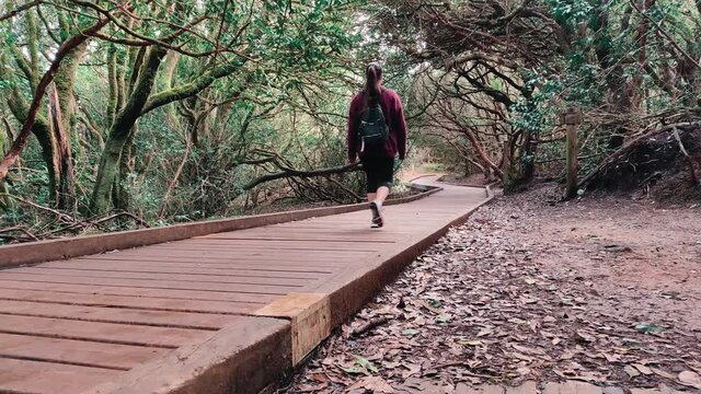 Woman walking along a path in a forest