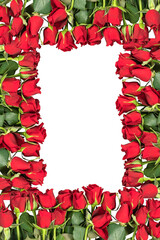 beautiful bouquets of bright red roses in the form of a greeting frame
