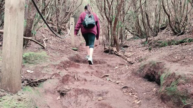 Woman walking along a path in a forest