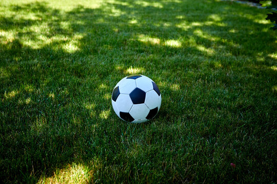 ball on the green meadow