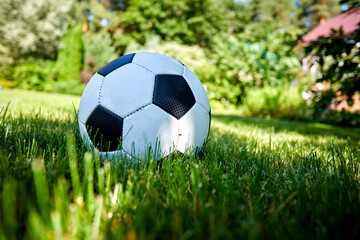 ball on the green meadow