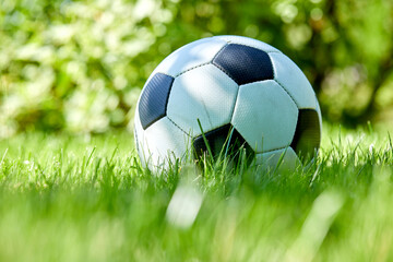 ball on the green meadow