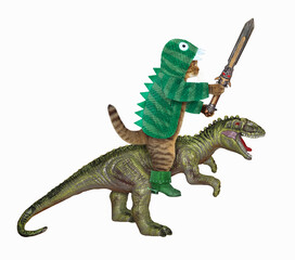A cat in green dragon clothing and boots with a sword rides rex. White background. Isolated.