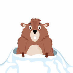 A cheerful and happy groundhog looks out from its snow hole. Vector illustration isolated on a white background.