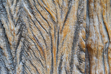 Textured natural wood background with golden highlighted grooves. Ancient wood in detail, grooves and veins, artistic composition. Old plank wooden wall background. The texture of old wood. Weathered