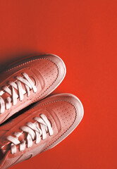 Stylish shoes on color background.