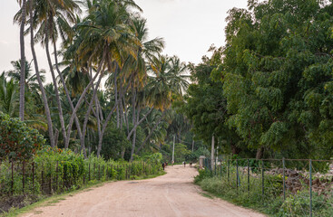 Hampi, Karnataka, India - November 4, 2013: Prasanna Virupaksha underground Shiva Temple. The dirt road to the sanctuary with green foliage on both sides and a group of cattle under silver sky.