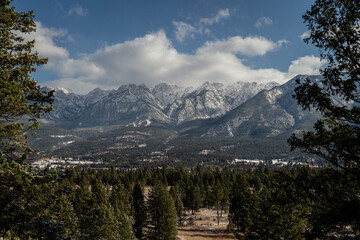 View of Rocky Mountains seen between two evergreen trees