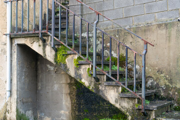 Fototapeta na wymiar Old destroyed weathered concrete staircase overgrown with moss