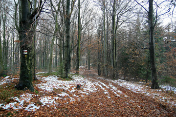 The beginning of winter  - Chrobacza Meadow peak in Little Beskids, Poland