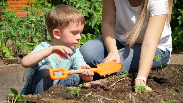 Child with mother working in garden and planting sporuts and vegetable seedlings at backyard