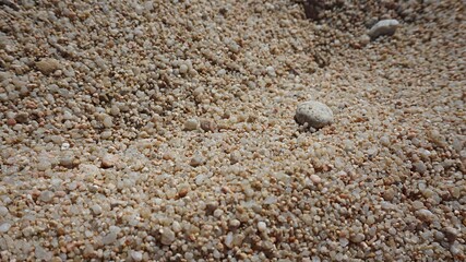 Fondo con textura de arena de playa con piedras de diferentes tamaños.