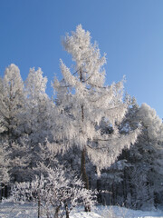 Winter in Little Beskids in Poland