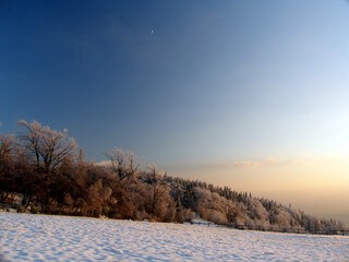 The begining of winter in Magurka peak, Little Beskids, Poland