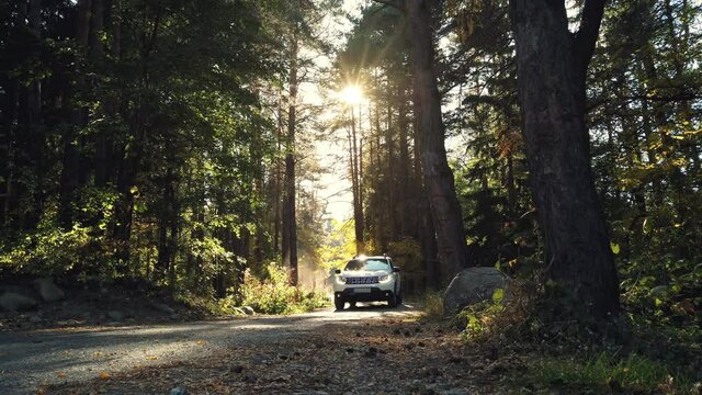 White suv car at trail road in autumn mountain forest at sunrise