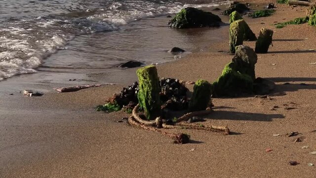 Waves Hitting The Wooden Pieces In A Row Covered In Moss. Mossy Battens ,Stones And A Rope On The Seaside