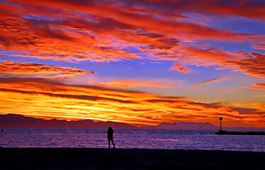 Woman on a beach watches a colorful sunrise in Santa Barbara, California