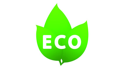 Eco vector icon. Ecology  vector sign. Bio card, poster, logo. Vector illustration.