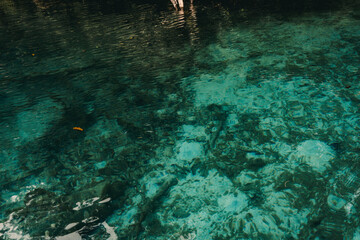 turquoise water