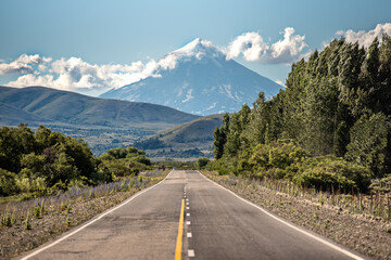 Camino patag&oacute;nico