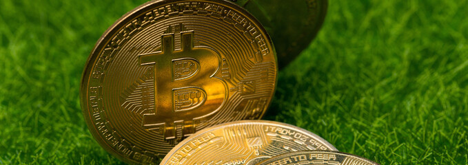 cryptocurrency golden coins - Bitcoin, Ethereum, Litecoin against a background of artificial green grass. Virtual money concept.