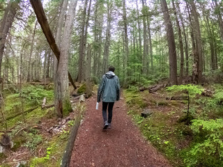 Obraz premium Man on a Hike in Glacier National Park