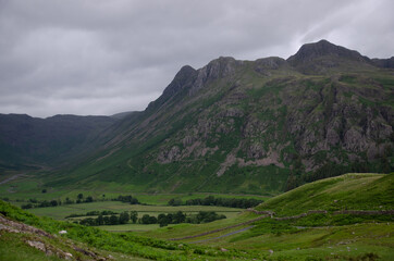 Fototapeta premium Pikes